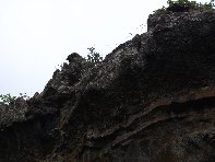 otta Intraleo-20100515 042